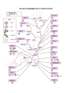 東北地方の高速道路で見られる春の花の名所