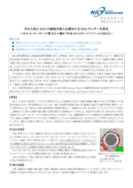 リリース全文