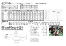 直流リアクトル出荷試験データ表 図番 客先 試験日 H21.2.25 試験者 窪
