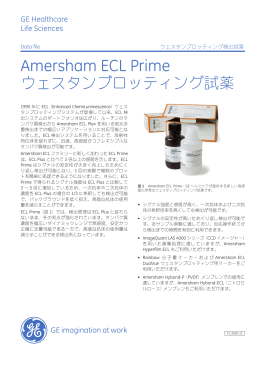 ECL Primeデータファイル