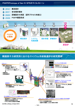 韓国原子力研究所におけるナトリウム冷却高速炉の研究開発