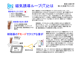 ループの説明パンフレット（pdf：391k） - 中村・田原研究室