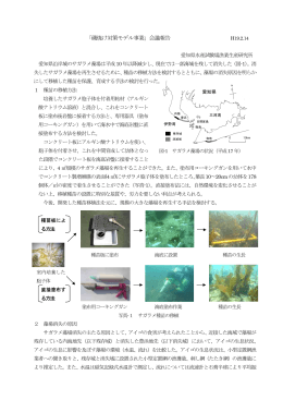 愛知県（PDF：223KB）