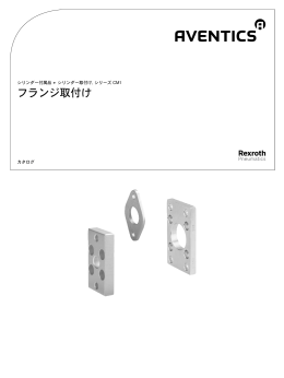 フランジ取付け - Aventics