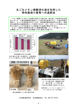 9.生ごみメタン発酵消化液を利用した特別栽培小麦等への追肥法（PDF