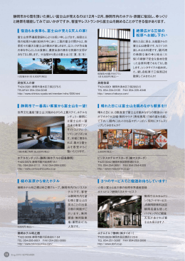 静岡市で一番高い客室から富士山を一望！ 3つのサービスでご宿泊
