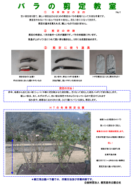 冬季剪定説明 - 公益財団法人 鹿児島市公園公社