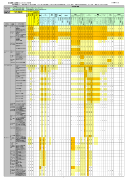 IT系スキルマトリクス（PDF）をダウンロードする
