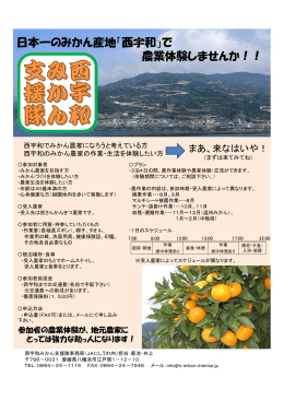 日本一のみかん産地「西宇和」で 農業体験しませんか！！