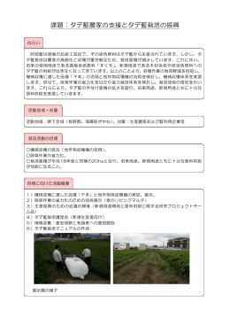 課題：タデ藍農家の支援とタデ藍栽培の振興
