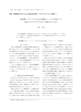 全文PDF