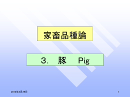 家畜品種論 3． 豚 Pig