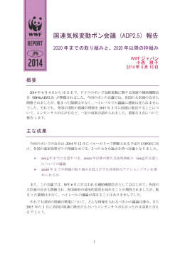 配付資料（PDF）