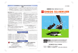 ENEOS SS土壌浄化保険パンフレット