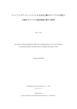ファイトレメディエーションによる水田土壌のカドミウムの浄化と 水稲の