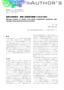 植物の窒素固定：植物と窒素固定細菌との共生の進化