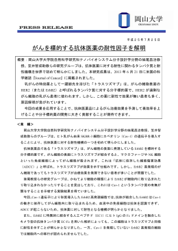 がんを標的する抗体医薬の耐性因子を解明 【笠井智成 大学院自然科学