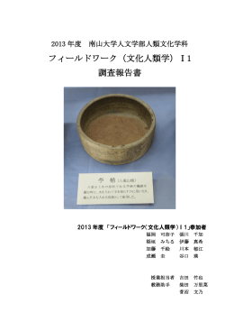 2013年度報告書