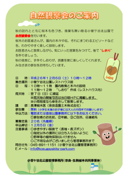 秋の訪れとともに樹木も色づき、落葉も舞い散る小菅ケ谷北公園で 自然