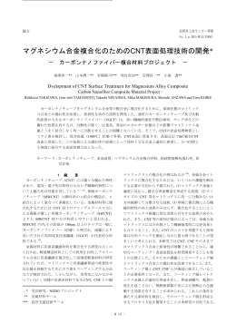 マグネシウム合金複合化のためのCNT表面処理技術の開発*