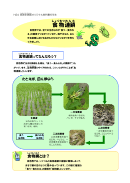 食物 連鎖