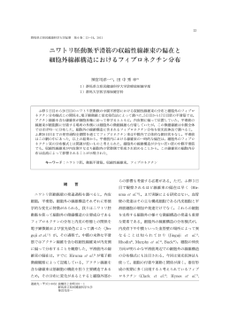 ニワトリ胚動脈平滑筋の収縮性線維束の偏在と 細胞外線維構造における