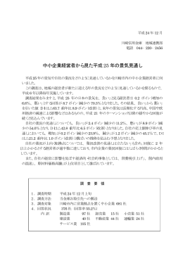 平成25年の景気見通しについて