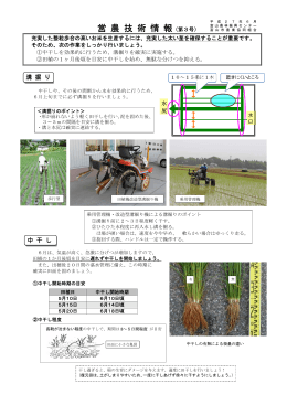 営 農 技 術 情 報（第3号）