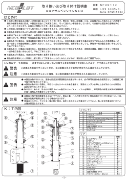 NP30110