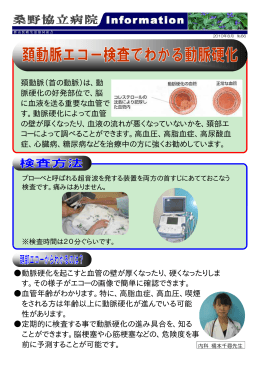 頚動脈（首の動脈）は、動 脈硬化の好発部位で、脳 に血液を送る重要な