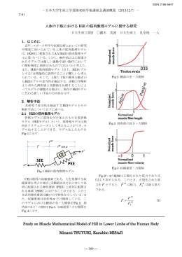 露木美波 - 日本大学生産工学部
