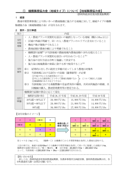 機構集積協力金（地域タイプ）