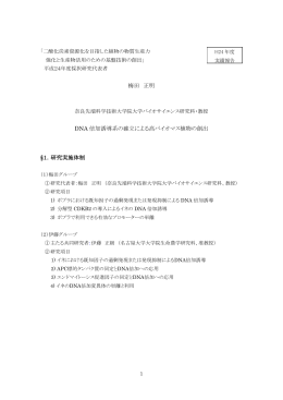 梅田 正明 DNA 倍加誘導系の確立による高バイオマス植物の創出 &sect;1