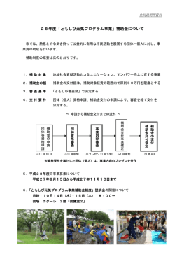 ともしび元気プログラム事業補助金制度概要版(104KB