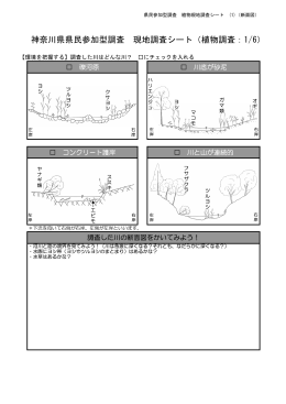 植物 - 神奈川県環境科学センター