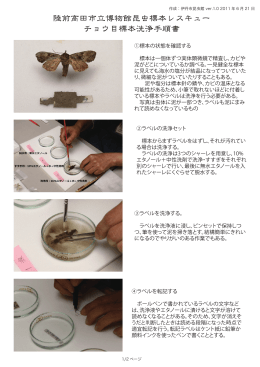 陸前高田市立博物館昆虫標本レスキュー チョウ目標本