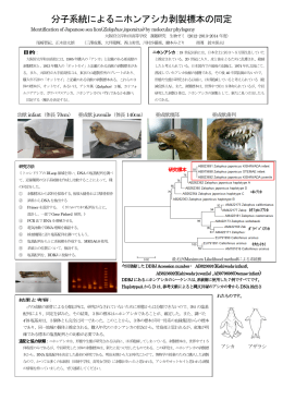 分子系統によるニホンアシカ剥製標本の同定