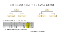 2015年 こくみん共済 U-12サッカーリーグ in 湖北ブロック 最終1次予選