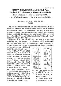 都市ごみ焼却(MSWI)施設から排出される PM 及び