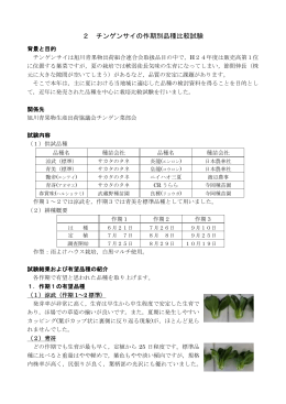 2 チンゲンサイの作期別品種比較試験