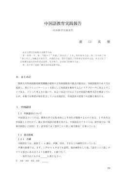 中国語教育実践報告