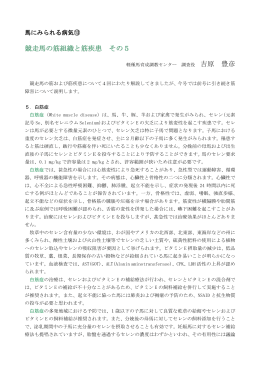 競走馬の筋組織と筋疾患 その5