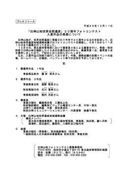 プレスリリース（PDF：608KB）