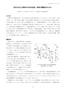 津田川調査のまとめ - 貝塚市ホームページ