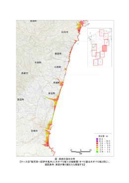 図 津波の浸水分布 【ケース⑥「駿河湾～紀伊半島沖」に大すべり域＋