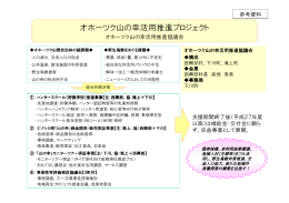 平成25年度地域再生プロジェクト計画書
