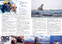 アラスカの 原始の鼓動を伝えたい 活躍する同窓生 Vol.41