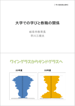 早川委員提出資料 （PDF:1027KB）