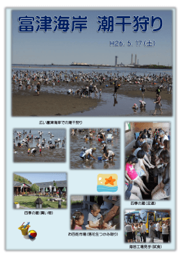四季の蔵（足湯） 海苔工場見学（試食） 広い富津海岸での潮干狩り 四季