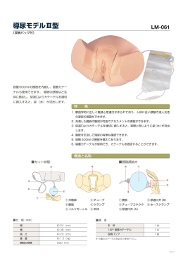 導尿モデルⅢ型